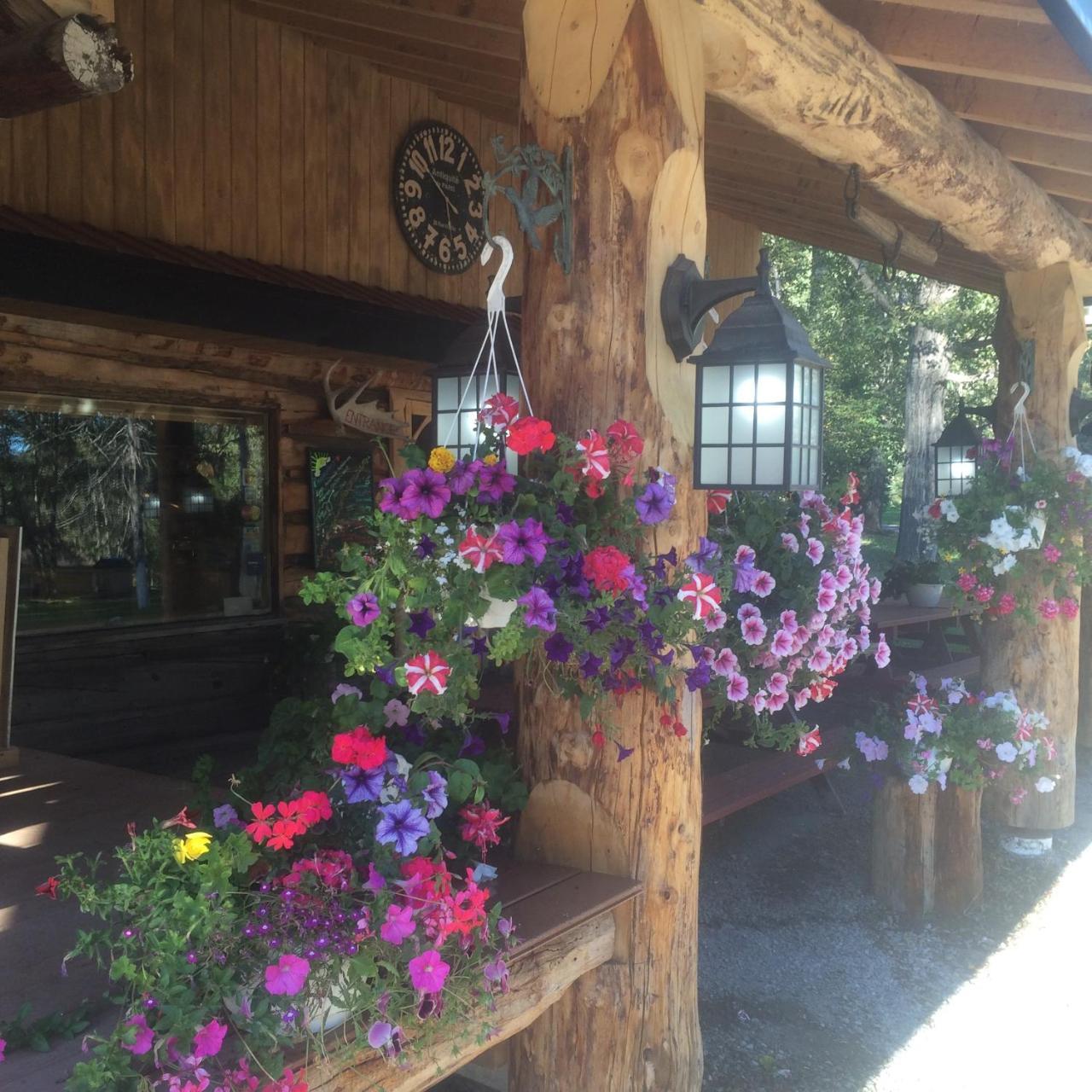 Tetsa River Lodge 외부 사진